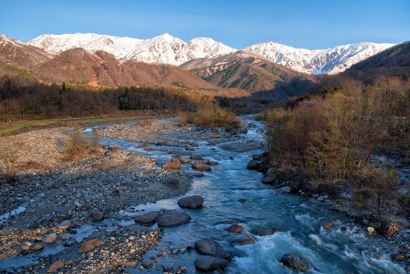 雪山と林の中を流れる川