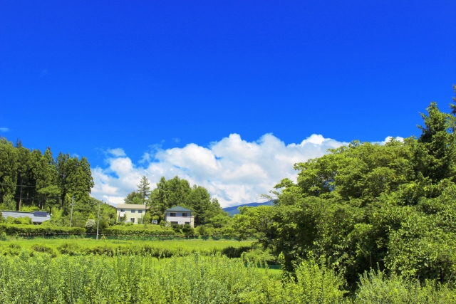 青空が広がる緑いっぱいの田舎の風景