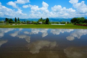 地方移住の若者の関心高まる！仕事や人気の候補地は？