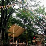 ライジングサン「RISING SUN ROCK FESTIVAL」のタイラクル TAIRA-CREWの魅力とは？