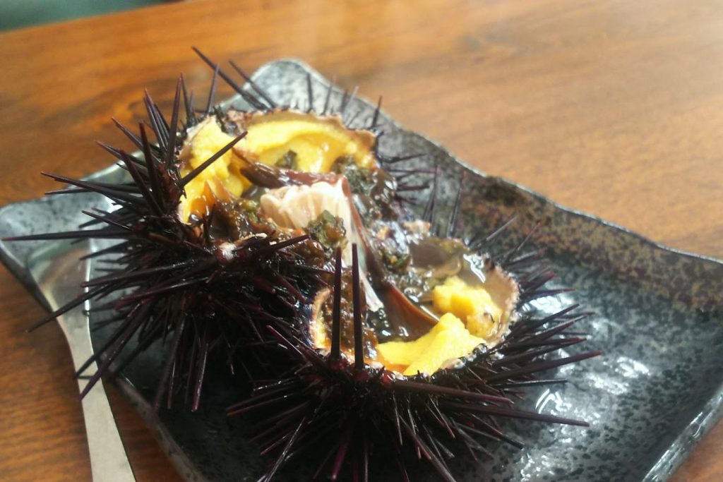 積丹のムラサキウニ