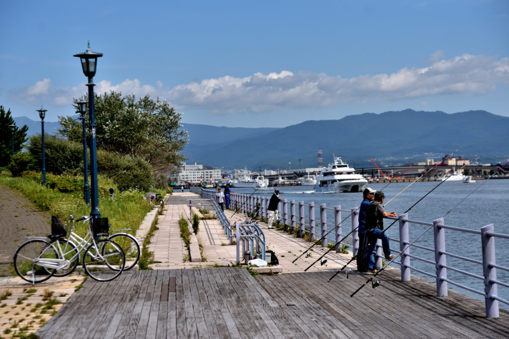 函館の緑の島