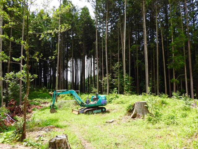 林業の作業風景