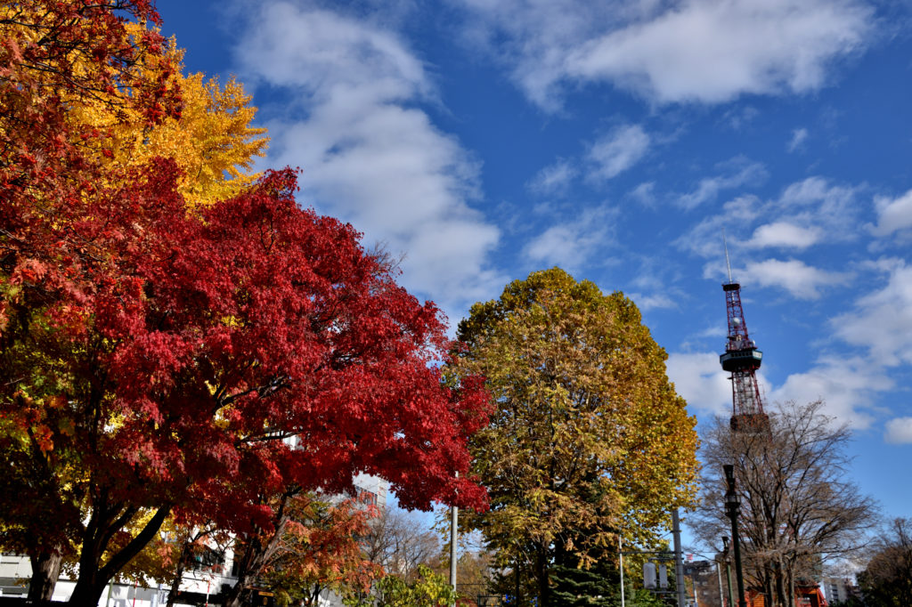 秋の札幌大通公園 とテレビ塔