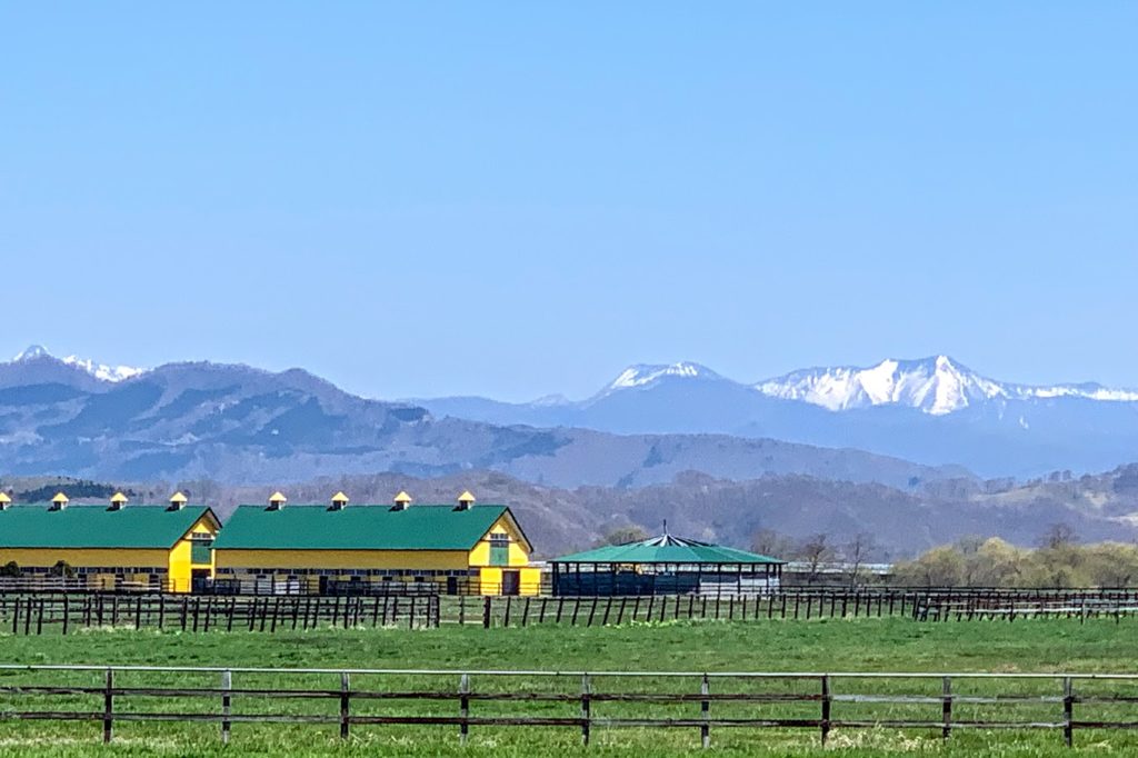 日高の牧場と山
