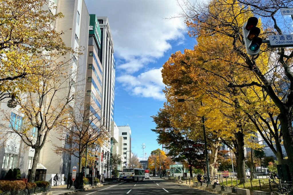 札幌大通公園 横の道路