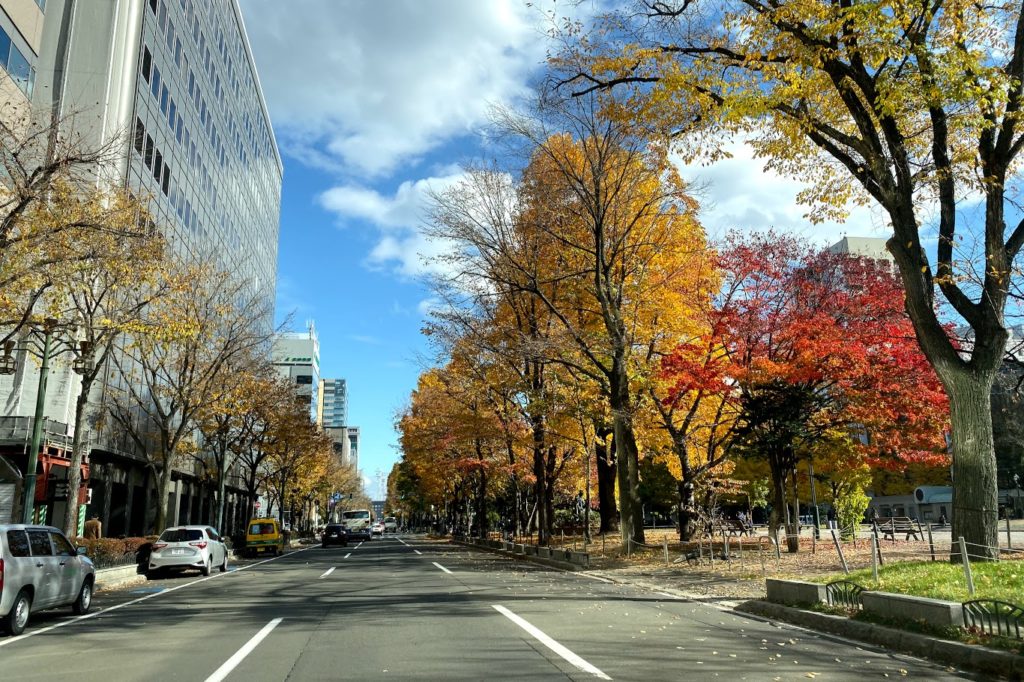 札幌大通公園