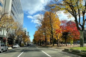 オリンピックの札幌のボランティア追加募集は？マラソンの札幌変更による影響は？