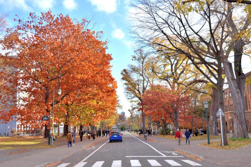 北海道大学構内