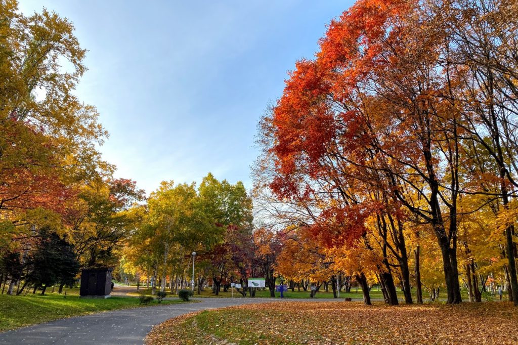 真駒内公園の紅葉