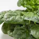 「世界一受けたい授業」森崎博之の北海道野菜のレシピ！絶品冬野菜！