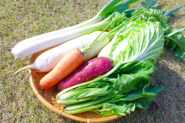 「ソレダメ」冬野菜の見分け方・目利きは？美味しい選び方は？