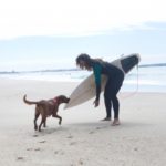「イッテQ」いとうあさこがアメリカでミステリツアー！犬とサーフィン？