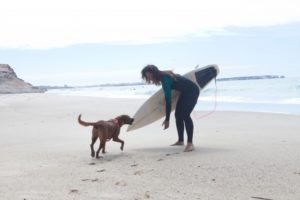 「イッテQ」いとうあさこがアメリカでミステリツアー！犬とサーフィン？