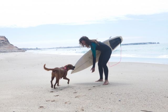 犬とサーフィン