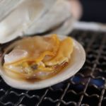 「ヒルナンデス」恵比寿の「あこや」で貝づくし！ハマグリも絶品！