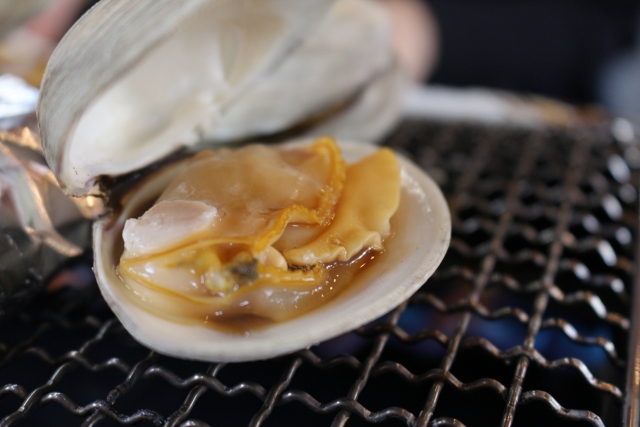 「ヒルナンデス」恵比寿の「あこや」で貝づくし！ハマグリも絶品！