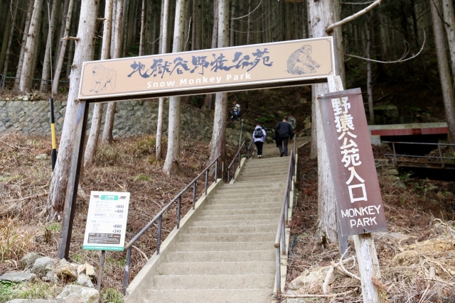 地獄谷野猿公苑