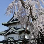 お城博士ちゃん・ 栗原響大おすすめの絶景！春の桜の城？3月7日＆5月30日