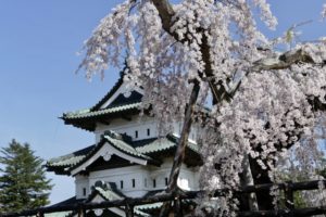 お城博士ちゃん・ 栗原響大おすすめの絶景！春の桜の城？3月7日＆5月30日
