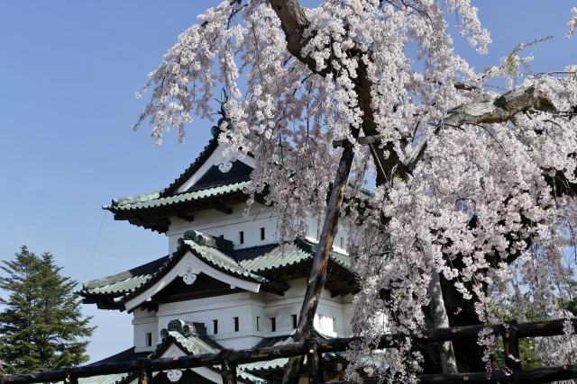お城博士ちゃん・ 栗原響大おすすめの絶景!春の桜の城?3月7日&5月30日