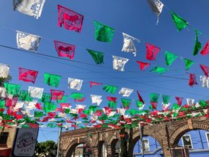 「YOUは何しに日本へ」メキシコのPlayaLimboのボーカル・ジャス！歌声は？