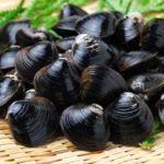 貝料理の「ハナタカ」を恵比寿「あこや」が伝授！アサリの味噌汁の美味しい作り方は！