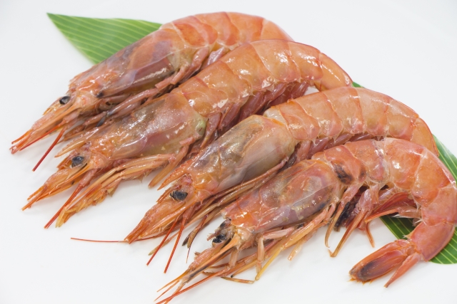 「青空レストラン」アシアカエビの味噌漬け・吊るし海老(みやもと海産物)のお取り寄せ!熊本県!