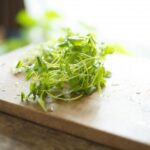 「バックステージ」天然食材ハンターの谷田圭太のプロフィールや経歴は？トリュフや天然うなぎも？