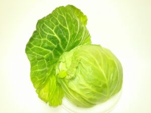 【ZIP】キャベツの細巻きのレシピ！岸優太が調理！3月15日