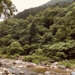 【ガイアの夜明け】リライトの田中裕治のプロフィールや経歴？山の不動産業者とは？3月9日