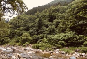 【ガイアの夜明け】リライトの田中裕治のプロフィールや経歴？山の不動産業者とは？3月9日