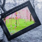 【めざまし】インドア花見セットや3Dゴーグルキット・高遠城址公園の桜VRのお取り寄せ！3月25日