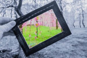 【めざまし】インドア花見セットや3Dゴーグルキット・高遠城址公園の桜VRのお取り寄せ！3月25日