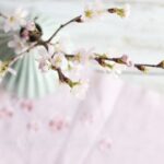 【めざまし】自宅で！桜のお花見キットのお取り寄せ！3月19日