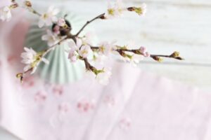 【めざまし】自宅で！桜のお花見キットのお取り寄せ！3月19日
