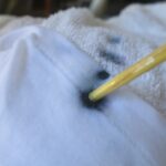 【ZIP】しょう油・カレー・口紅・泥のしみ抜き法は？不入流の宇井直樹が伝授！3月31日