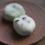 【サタプラ】赤坂青野の和菓子（大福・赤坂もち等）のお取り寄せ！安住紳一郎アナおすすめ！4月17日