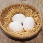 【帰れマンデー】卵「寿」（アクアファーム秩父）のお取り寄せ？極上プリンは？4月19日