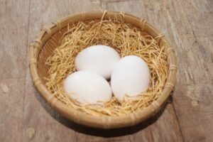【帰れマンデー】卵「寿」（アクアファーム秩父）のお取り寄せ？極上プリンは？4月19日