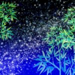【ZIP】プラネタリウムの作り方は？永瀬廉さんが挑戦？6月14日
