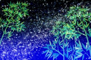 【ZIP】プラネタリウムの作り方は？永瀬廉さんが挑戦？6月14日