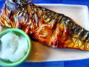 【サタデープラス】手のひらキャベツピーラー・大人の焼魚 炭グリルお取り寄せ！茂出木浩司ヘビロテ ！12月4日