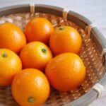 【めざましどようび】春姫（金柑）のお取り寄せ！鹿児島県産！2月5日