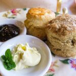 【あさイチ】クロテッドクリームのレシピ（作り方）は？ゆかりーぬが伝授！3月29日