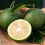 【めざましどようび】かぼすこや地獄の一滴のお取り寄せは？大分名産！