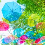 【めざまし】RE：PET折傘バイカラー・ベビーアンブレラ・クリームソーダ長傘お取り寄せ！6月3日