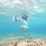 【情熱大陸】峯水亮・海中写真家のプロフィールや経歴は？写真集や撮影法・カメラは？