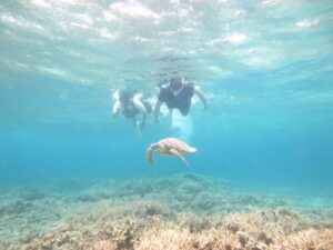 【情熱大陸】峯水亮・海中写真家のプロフィールや経歴は？写真集や撮影法・カメラは？