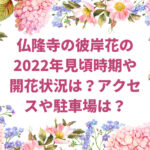 仏隆寺の彼岸花の2022年見頃時期や開花状況は？アクセスや駐車場は？